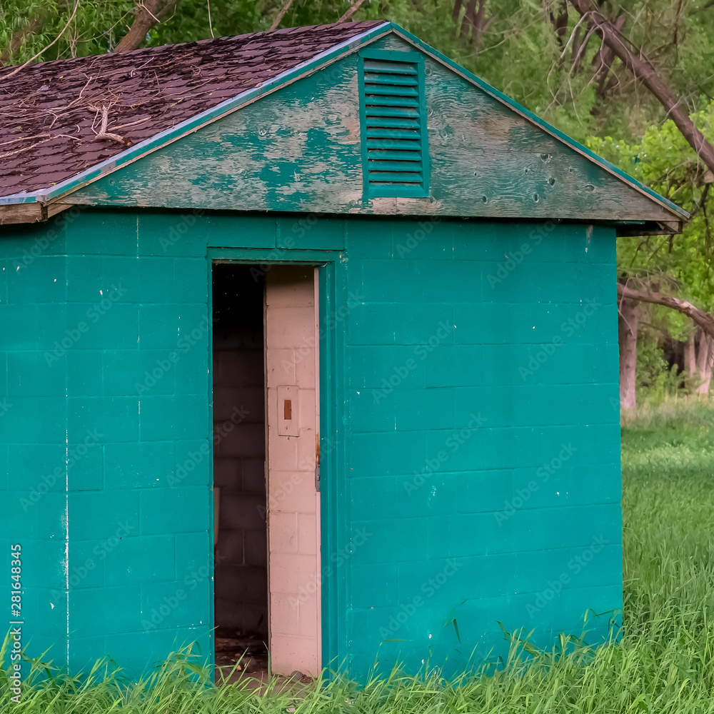 Square frame Old green shed surrounded by green grasses and tall trees on a sunny day Square frame Old green shed surrounded by green grasses and tall trees on a sunny day
