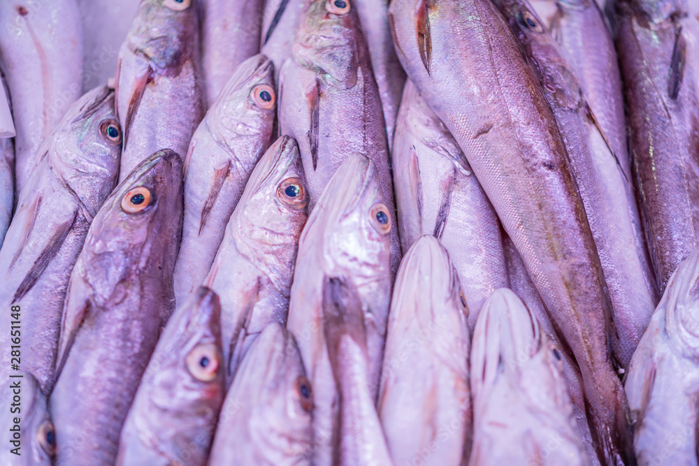 Obraz premium different types of fresh fish on ice in a fish market