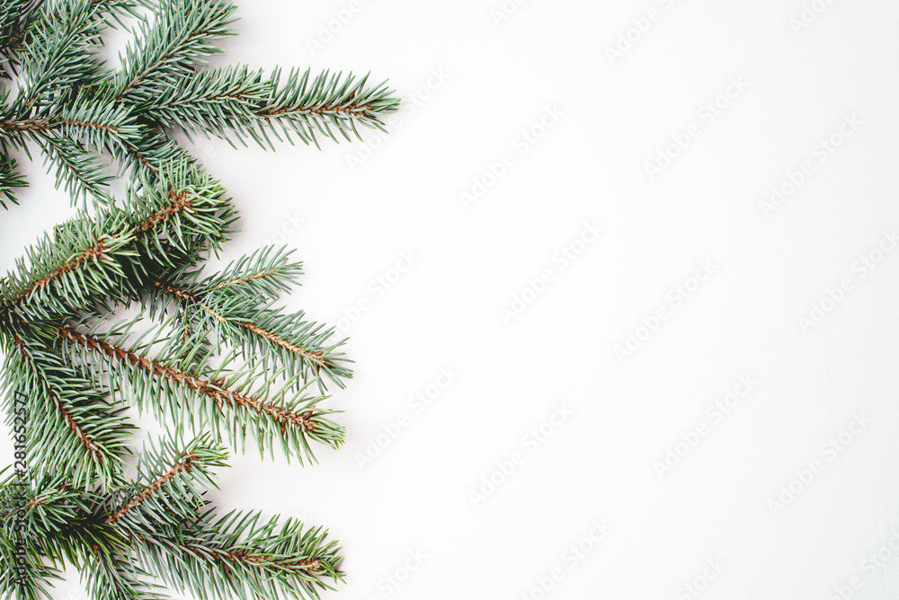 Fir branches on white background. Christmas wallpaper. Flat lay, copy space.