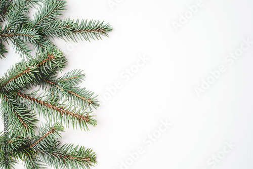Fir branches on white background. Christmas wallpaper. Flat lay  copy space.