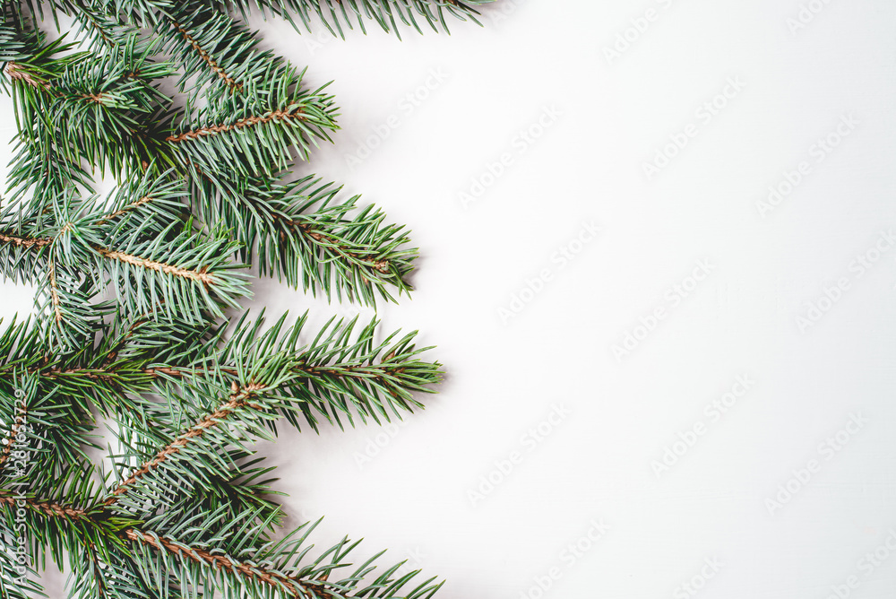 Fir branches on white background. Christmas wallpaper. Flat lay, copy space.
