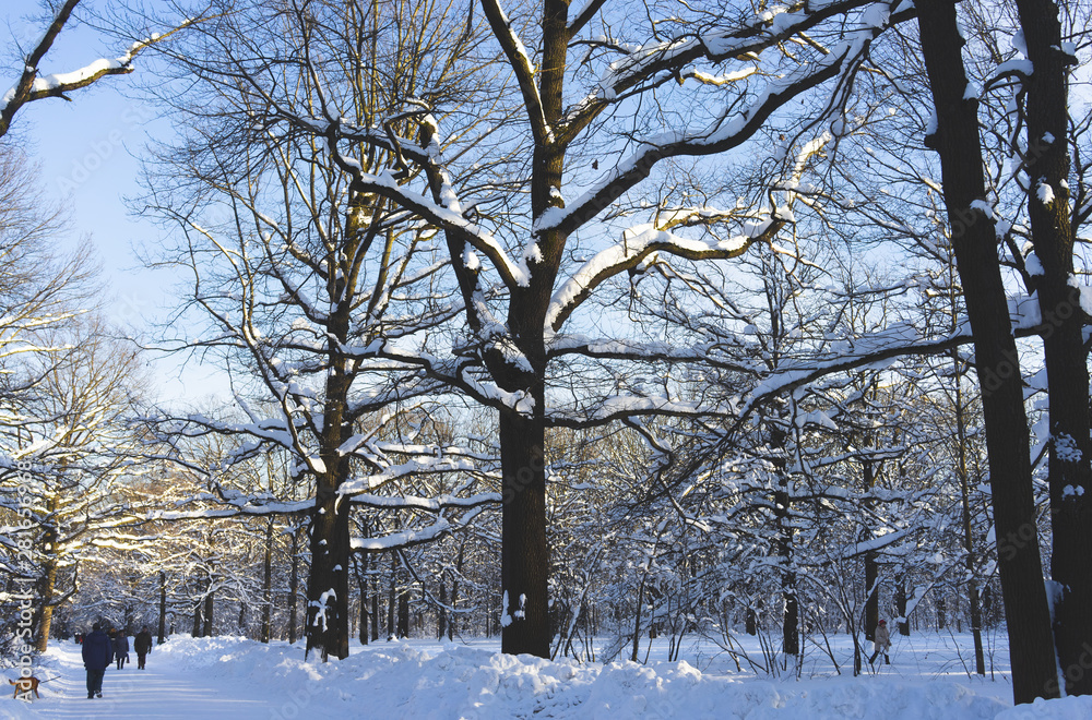 Snow-covered Park on a clear day at sunset.