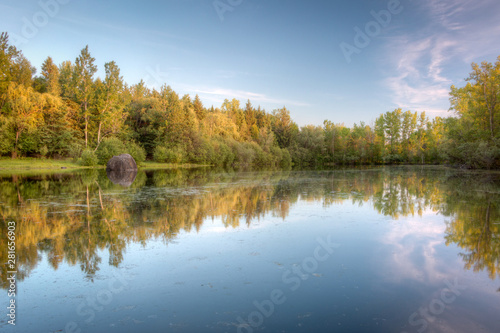 reflection of trees in calm lake © Vicky
