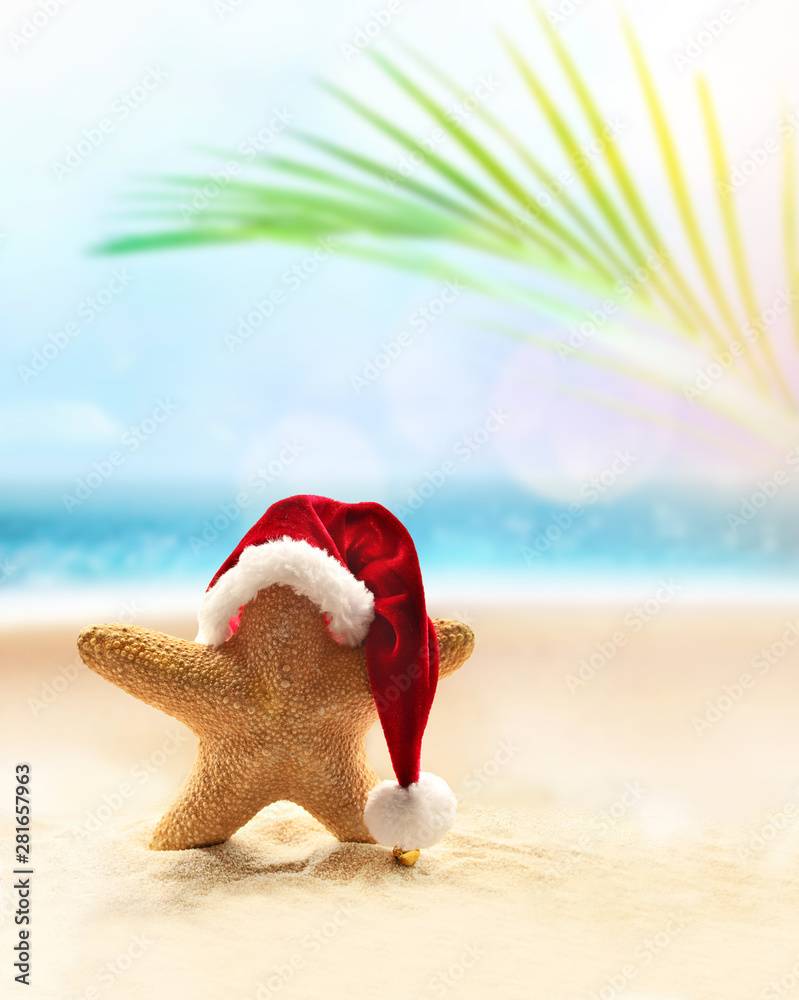 summer beach. Christmas concept 
