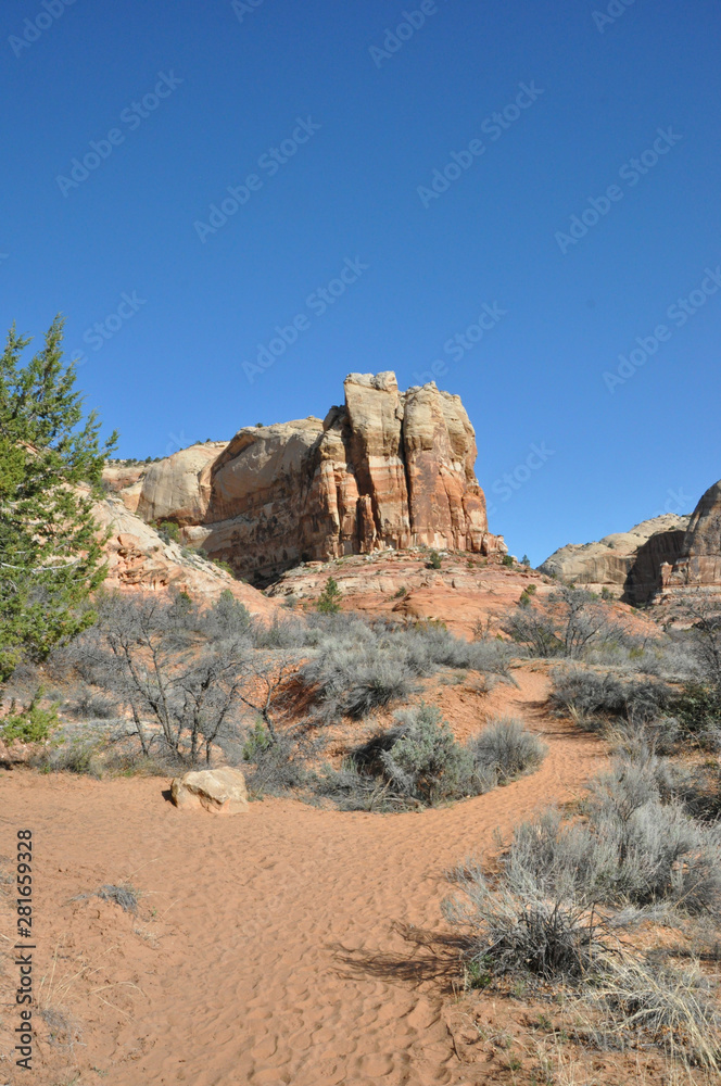 Fototapeta premium calf creek falls in utah