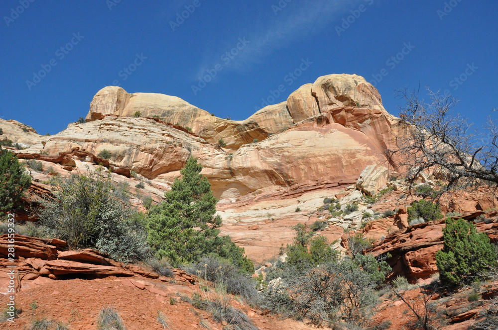 Fototapeta premium calf creek falls in utah