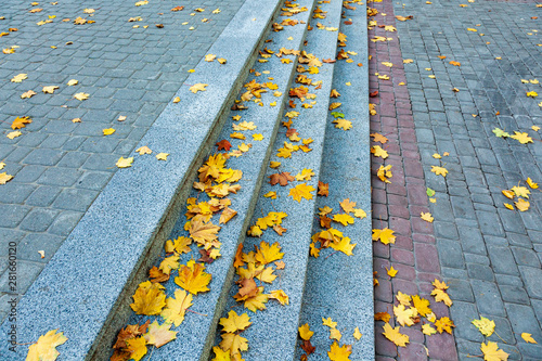 Abstract symbol of autumn. Yellow maple autumn leaves fell and lie on the street sidewalk. Granite steps. City street with a pavement. Autumn season with beautiful color.