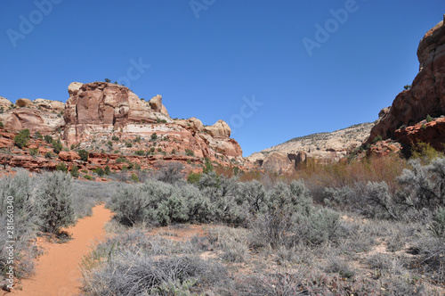 calf creek falls in utah