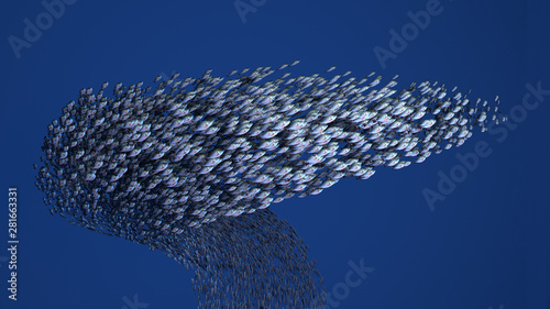 Bank of Fish Under Water