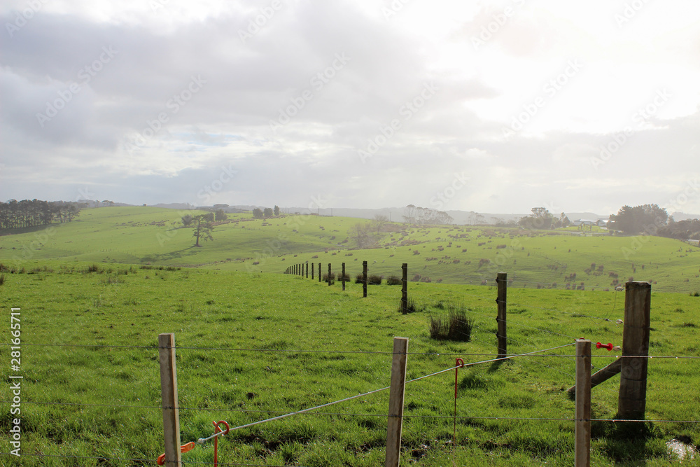 Majestic misty sunrise over rolling green hills with a fence Majestic misty sunrise over rolling green hills with a fence