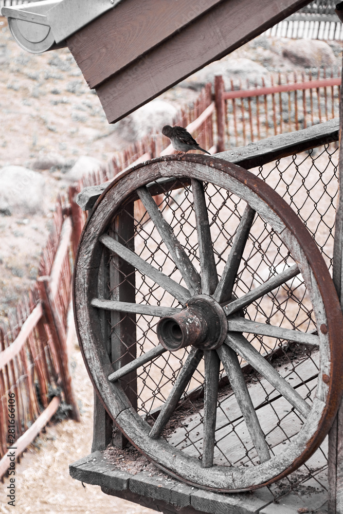 old wooden wagon wheel with iron ring