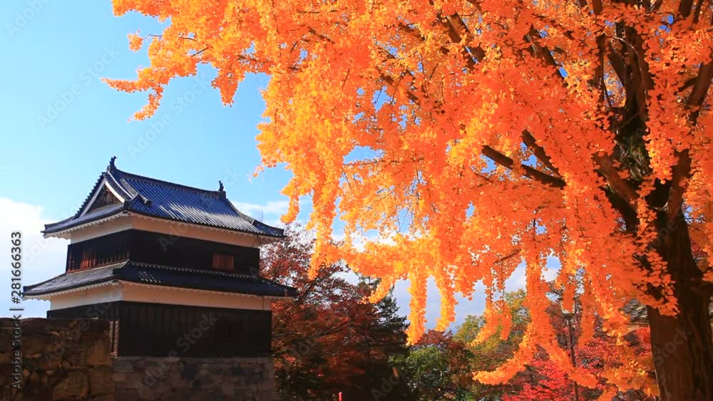 Ueda Castle in autumn, Nagano Prefecture, Japan Ueda Castle in autumn, Nagano Prefecture, Japan
