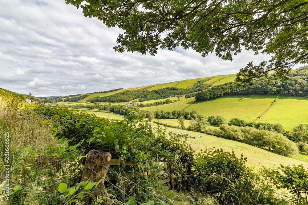 Countryside in Powys, mid Wales in the UK. View of lush fields and trees in summer of 2019.