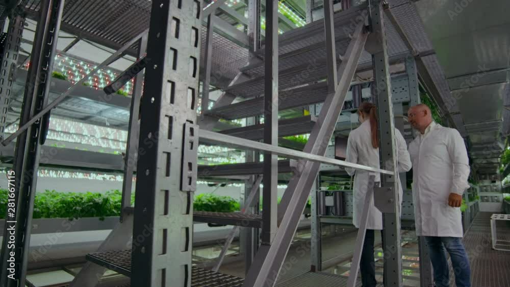 Microbiology in white coats walking on a modern farm with laptops and tablets studying and discussing the results of the growth of green plants. Microbiology in white coats walking on a modern farm with laptops and tablets studying and discussing the results of the growth of green plants.