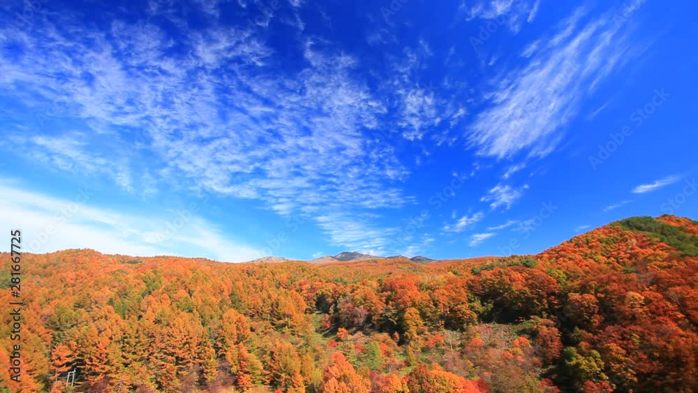 View of mountain and forest, Ueda City, Nagano Prefecture View of mountain and forest, Ueda City, Nagano Prefecture