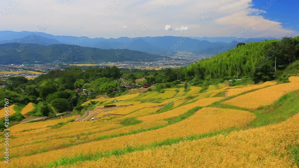 Countryside landscape with rice terraces,  Ueda,  Japan