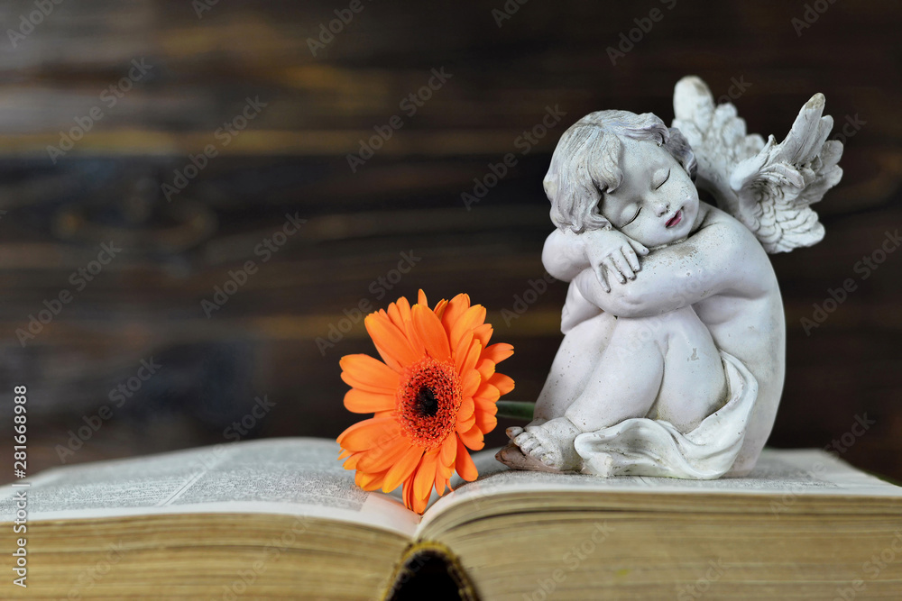 Sympathy card with guardian angel sleeping on the book Sympathy card with guardian angel sleeping on the book