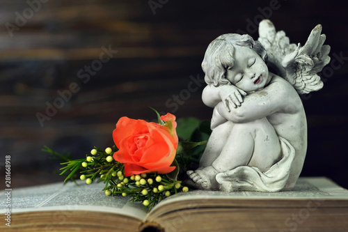 Little angel and flowers on the book © izzzy71