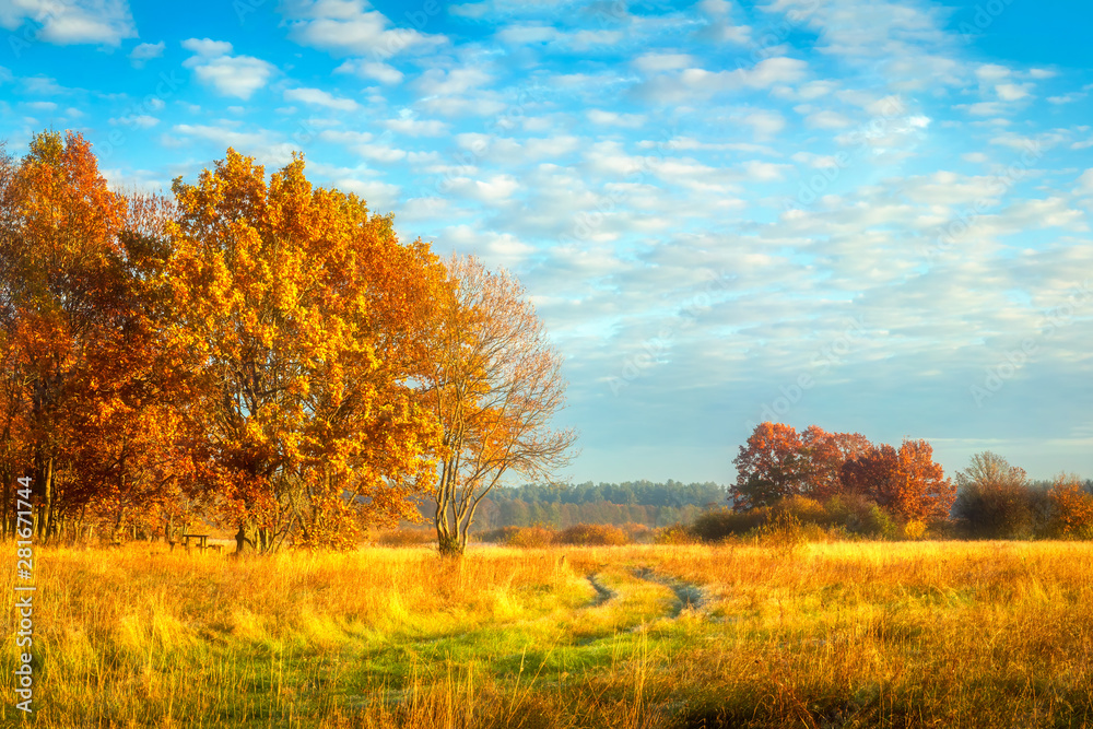 Beautiful autumn landscape. Yellow foliage on trees. Fall. Autumnal meadow with colorful trees. Beautiful autumn landscape. Yellow foliage on trees. Fall. Autumnal meadow with colorful trees.