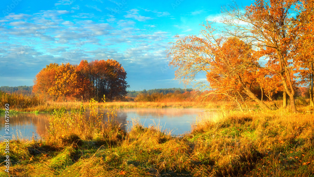 Autumn. Scenic autumn nature landscape on sunny morning. Yellow foliage on trees on river shore. Beautiful view on sunny autumn nature