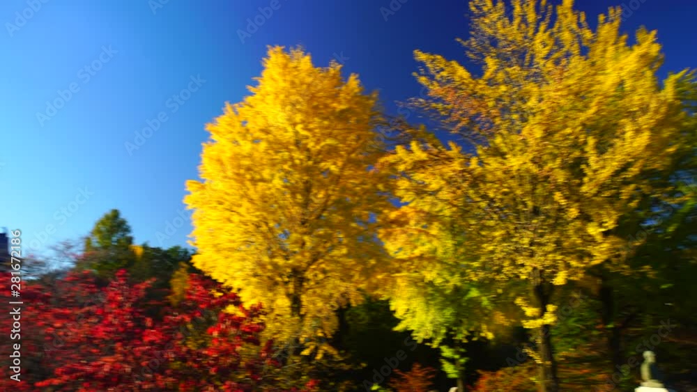 Ueda Castle in autumn,  Ueda,  Nagano Prefecture,  Japan