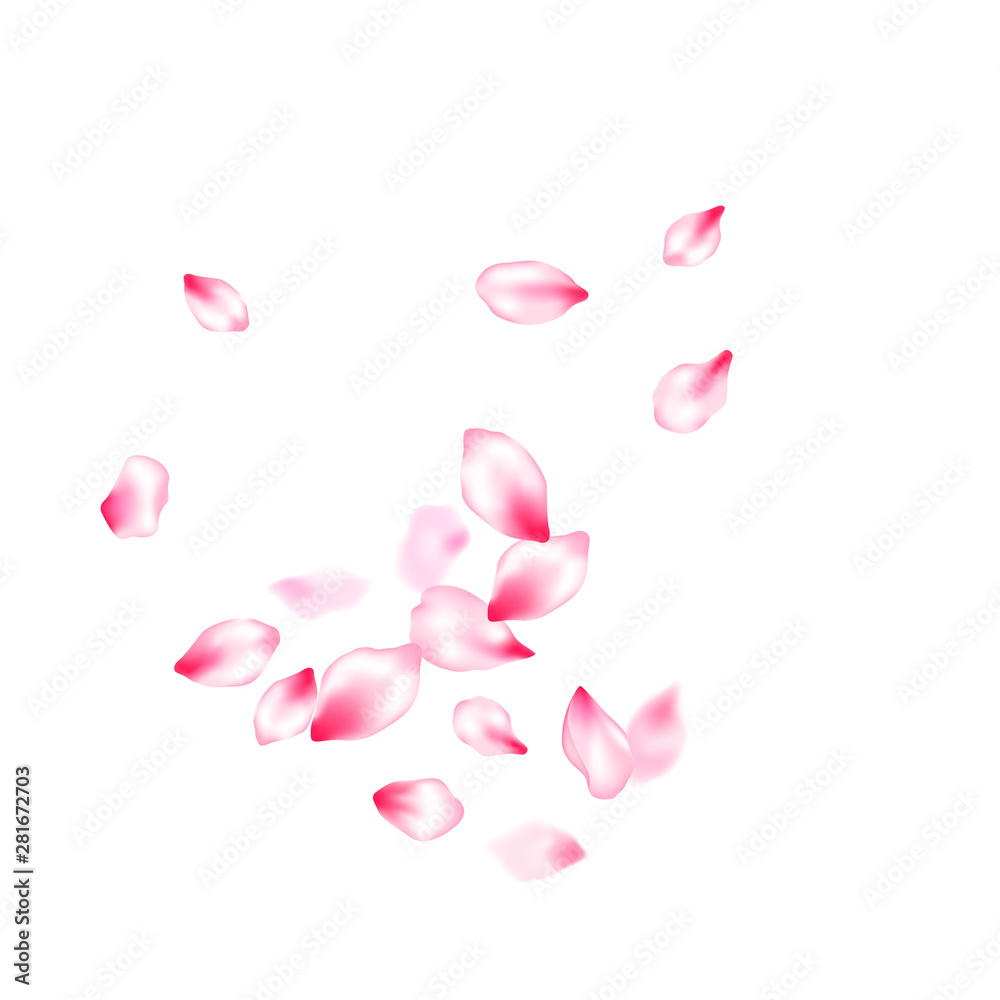 Japanese cherry blossom pink flying petals Japanese cherry blossom pink flying petals