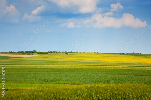  A colorful field under a blue sky