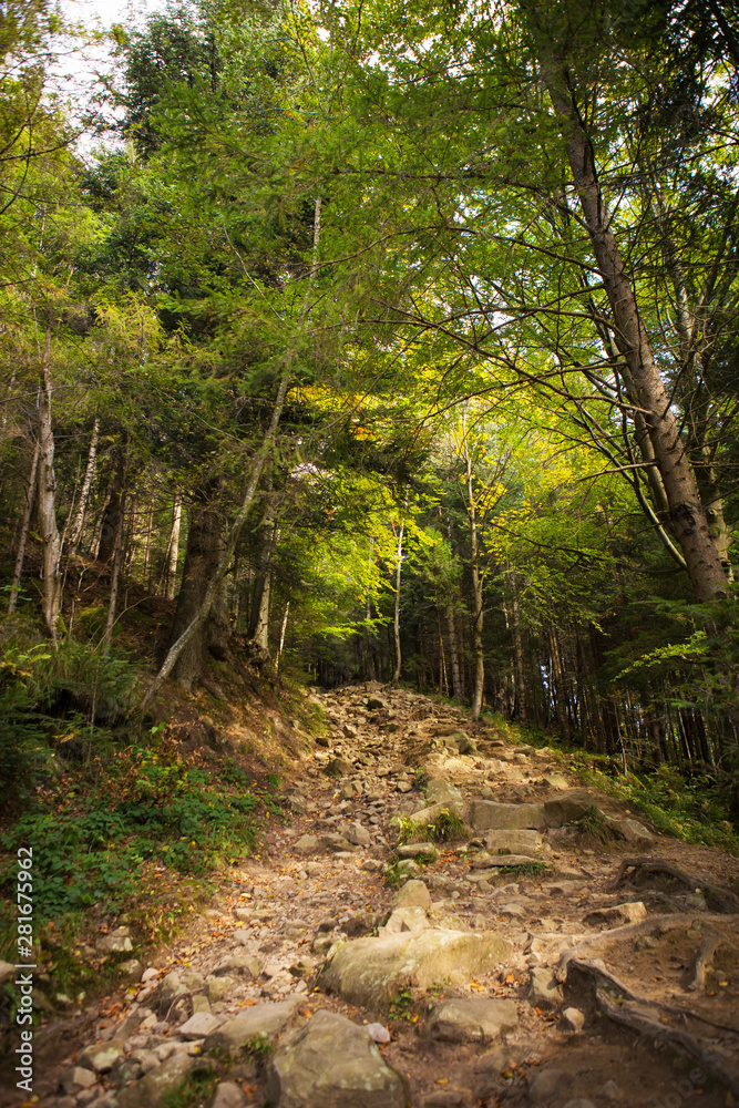 very beautiful autumn panoramas of the Carpathians, Ukraine very beautiful autumn panoramas of the Carpathians, Ukraine