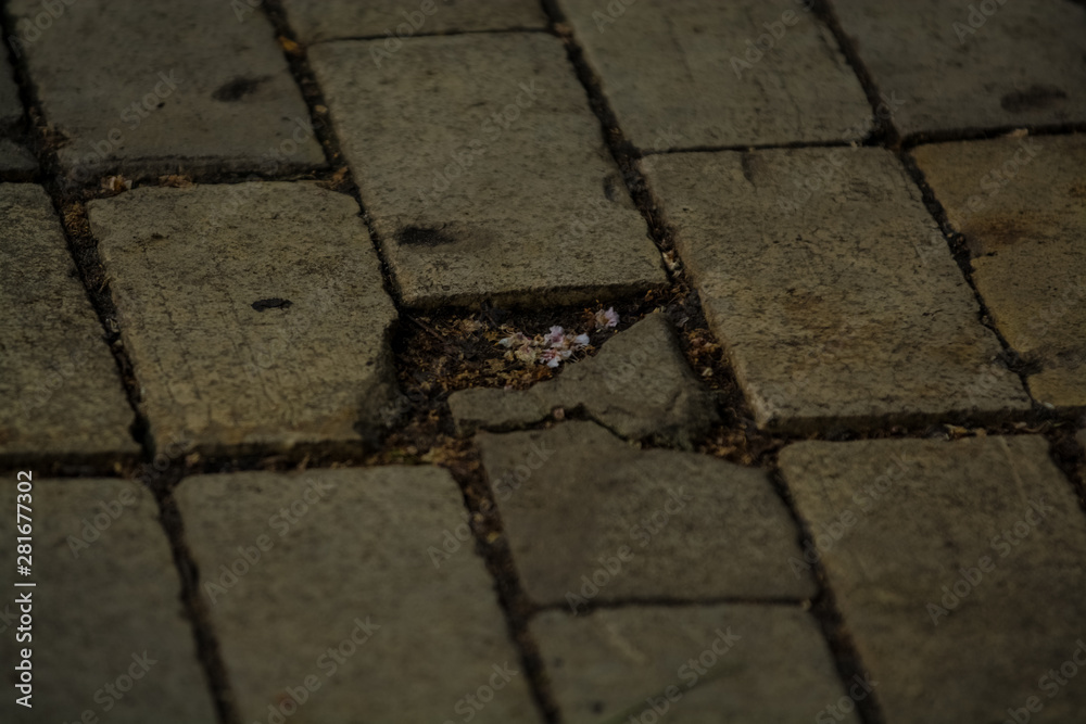 Obraz premium Background or texture from a broken and equal tile with patches of light and drops. Stone blocks on the sidewalk.