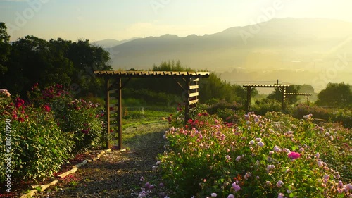 View of garden and mountains,  Ueda City,  Nagano Prefecture photo