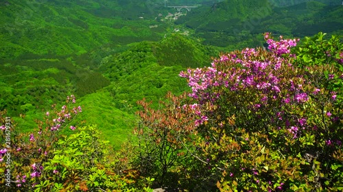 Tilt up view of landscape photo