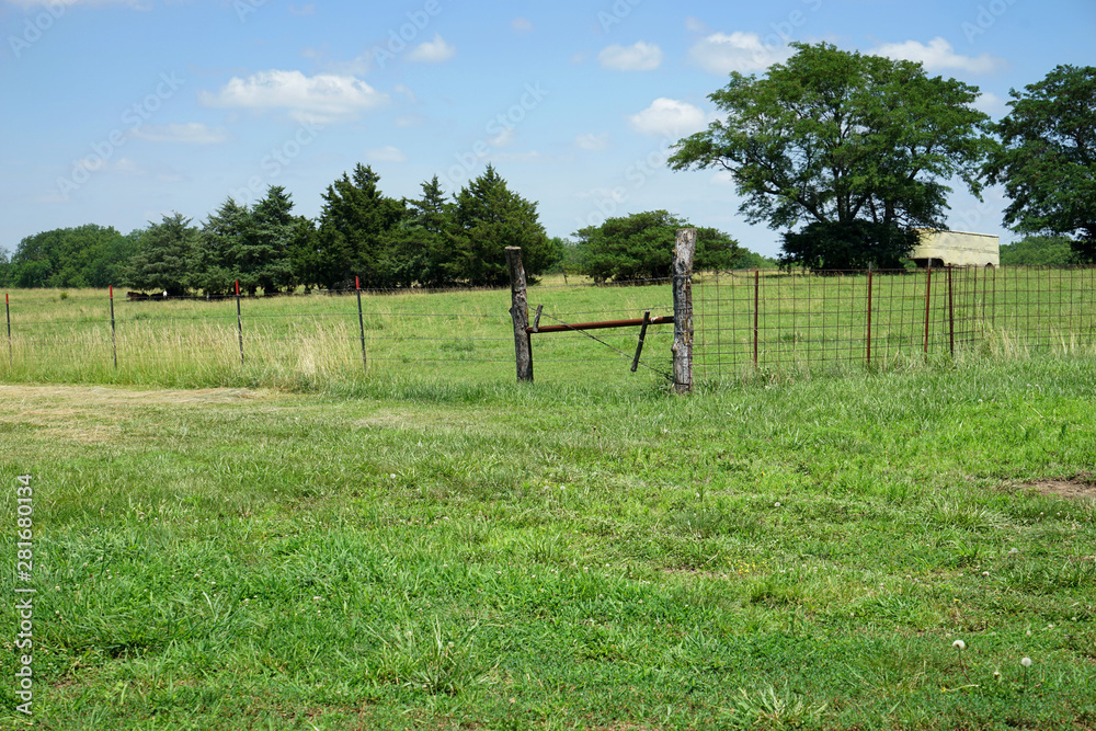 Fototapeta premium prarie in Kansas
