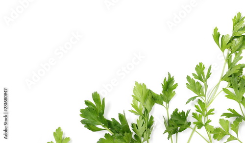 Fototapeta Naklejka Na Ścianę i Meble -  Fresh green parsley leaves isolated on white background, top view