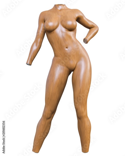 Female mannequin. Torso