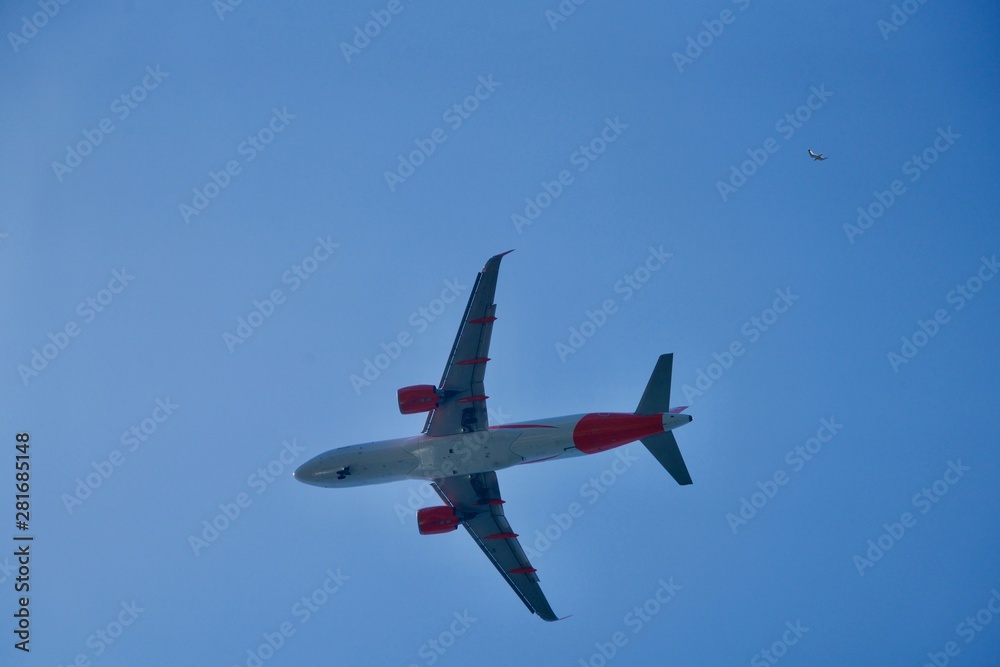 Airplane and seagull