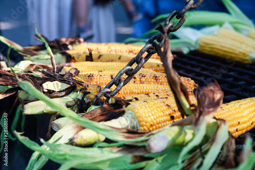 The cobs of yellow corn on the grill