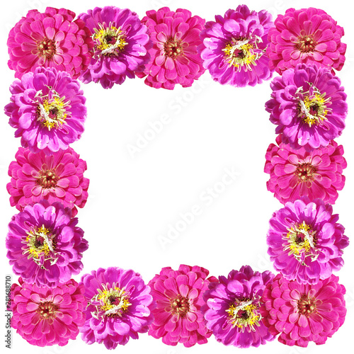 Beautiful floral pattern pink tsiniya. Isolated