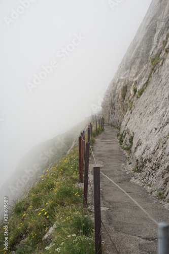 Swiss Alps path