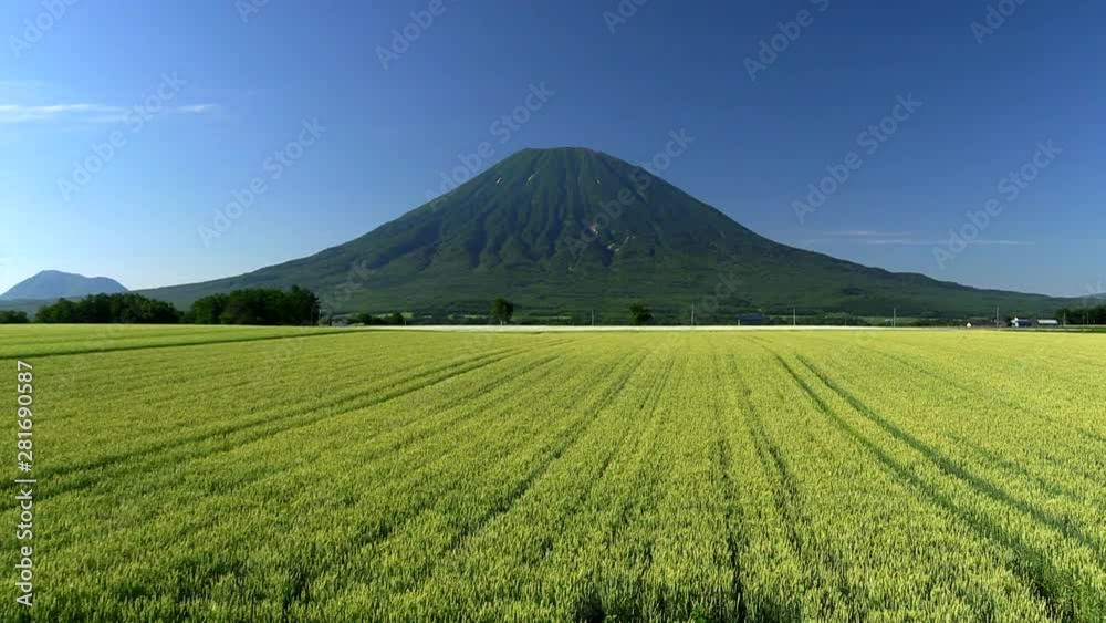 Mount Yotei and wheat field, Kutchan, Hokkaido, Japan Mount Yotei and wheat field, Kutchan, Hokkaido, Japan