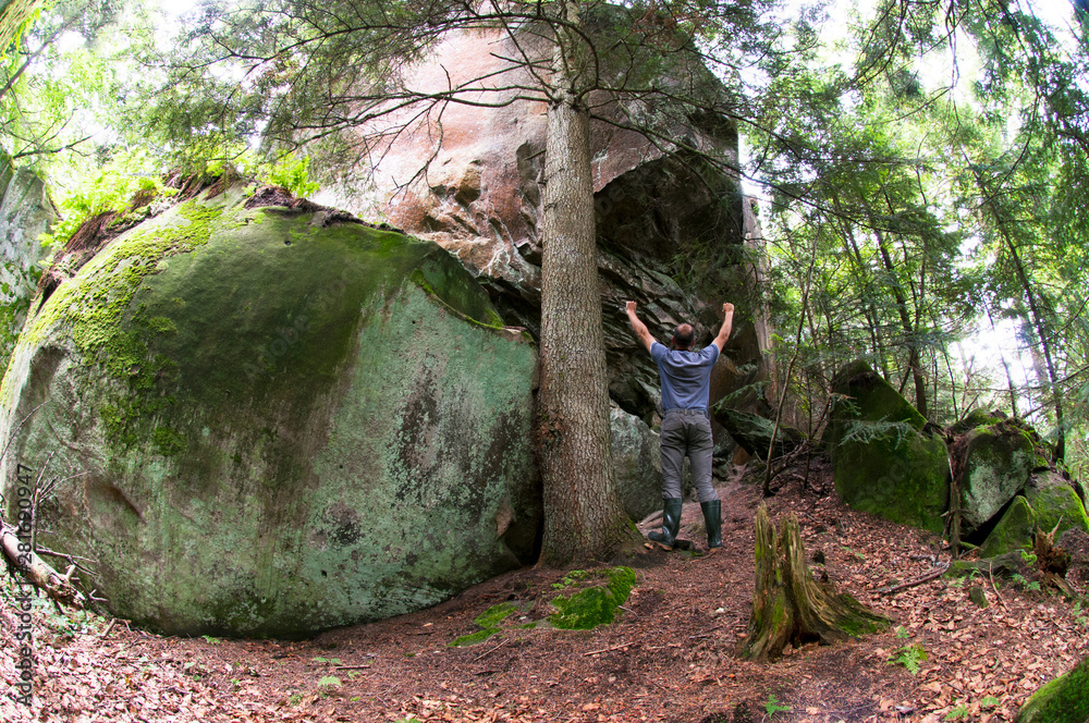 Obraz premium a beautiful landscape in the mountains with rock and summer forest