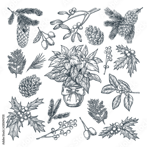 New Year, Christmas gift and greeting card decoration. Winter holiday plans and flowers. Vector sketch illustration.
