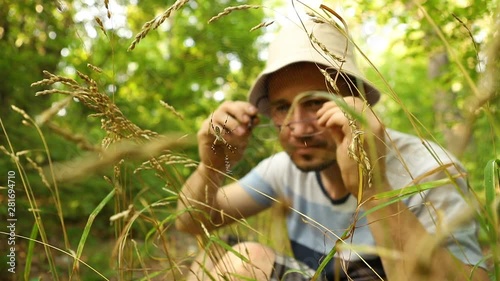 Caucasian entomologist with glasses and a panama hat examines a spider Argiope bruennichi sitting on a web in a green forest, close-up photo