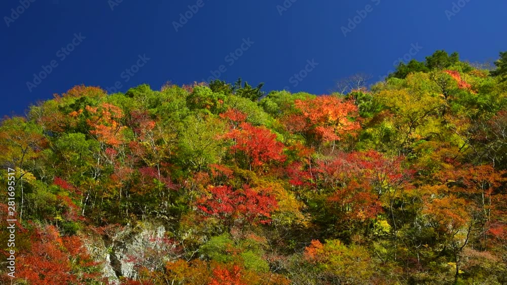 Low angle shot of Beppu Canyon in autumn, Kami, Kochi Low angle shot of Beppu Canyon in autumn, Kami, Kochi