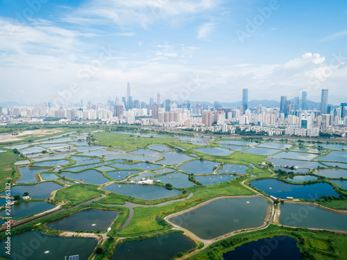 Rural green fields with fish ponds between Hong Kong and skylines of Shenzhen,China photo