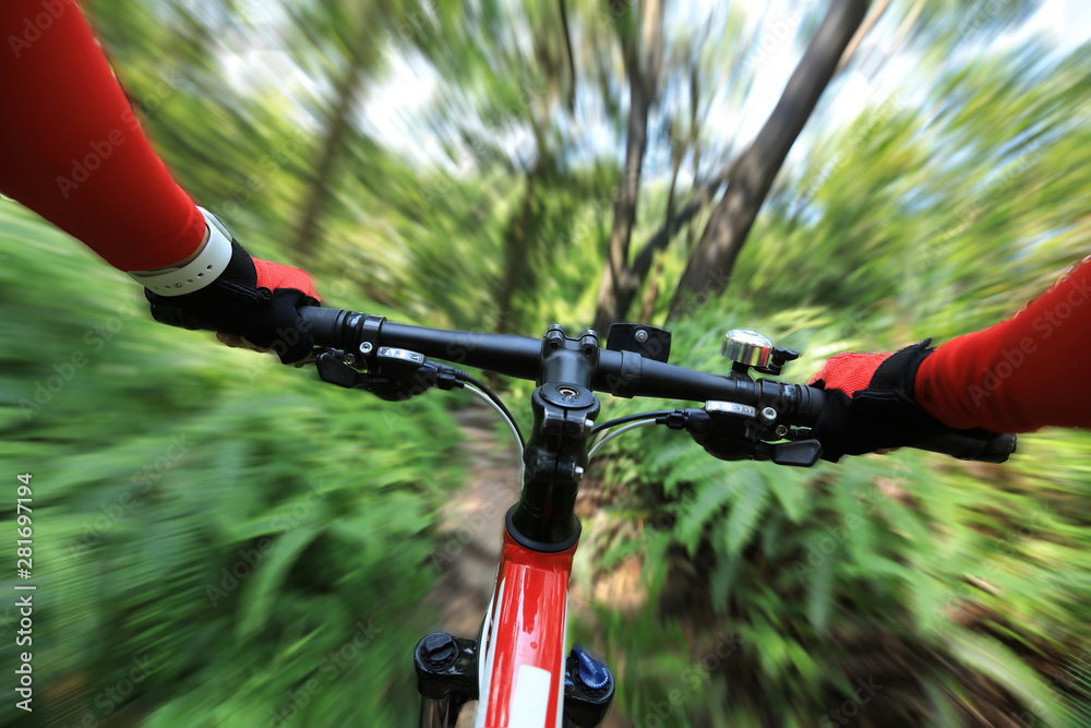 Blurred motion of riding mountain bike on summer forest trail Blurred motion of riding mountain bike on summer forest trail