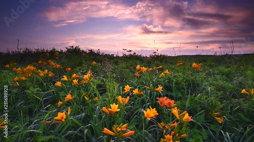 Sarobetsu Plain in spring, Tenshio, Hokkaido photo