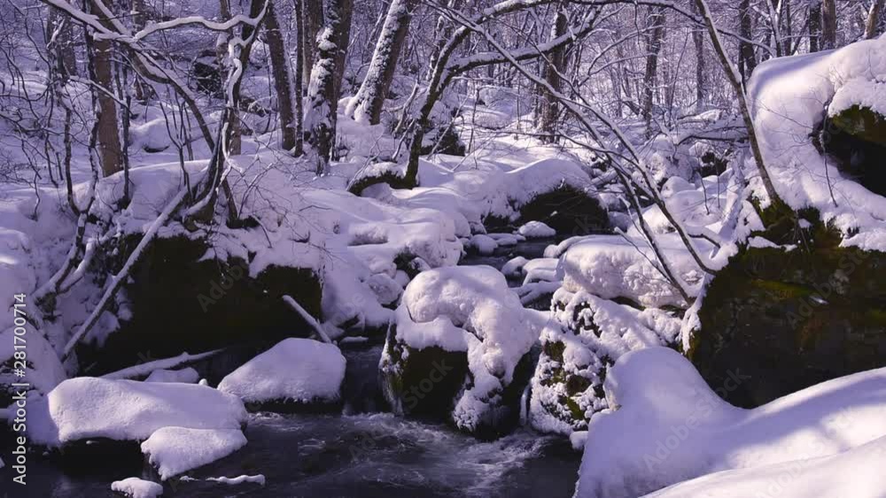 Oirase mountain stream in winter, Towada, Hokkaido, Japan Oirase mountain stream in winter, Towada, Hokkaido, Japan