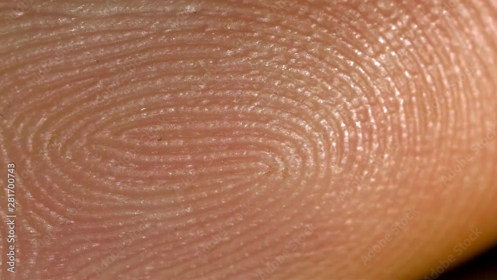 Fingerprint finger skin macro shot