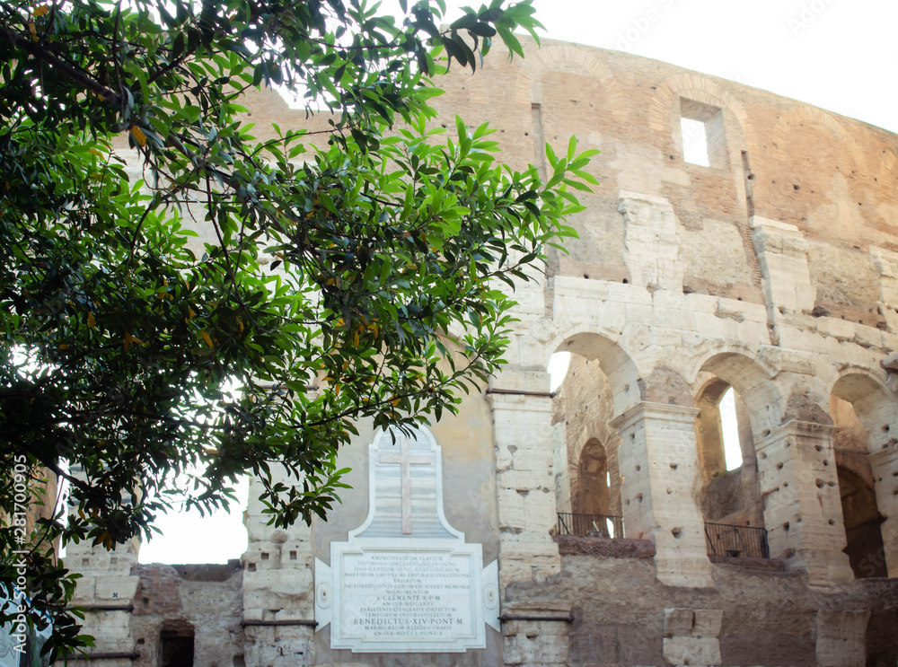 Colosseum in Rome, Italy, Europe