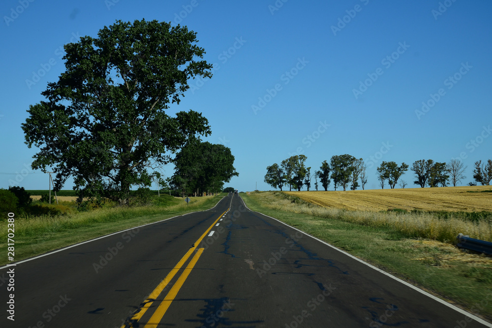 Ruta en un campo verde con un cielo azul Ruta en un campo verde con un cielo azul